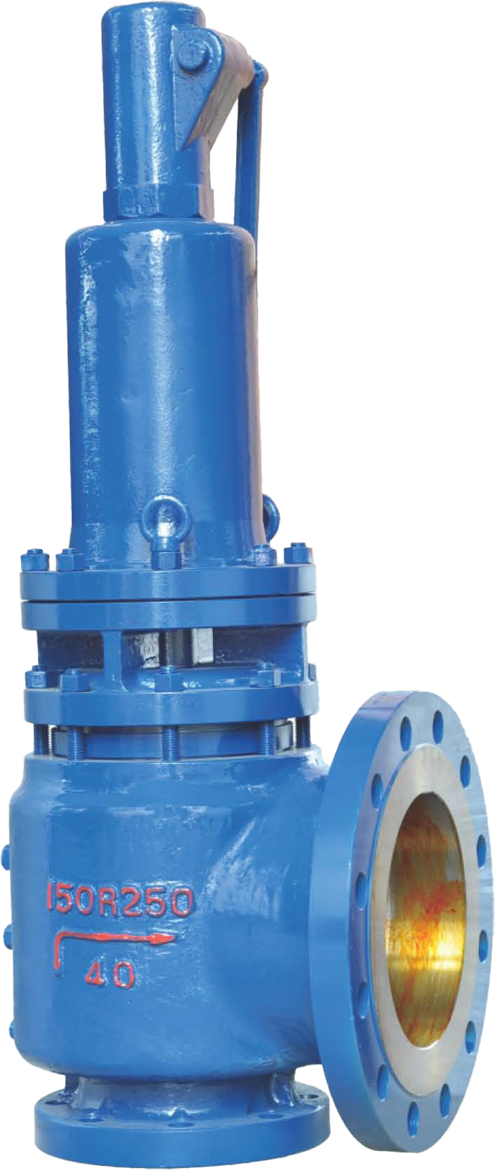 SAFETY VALVE SERIES