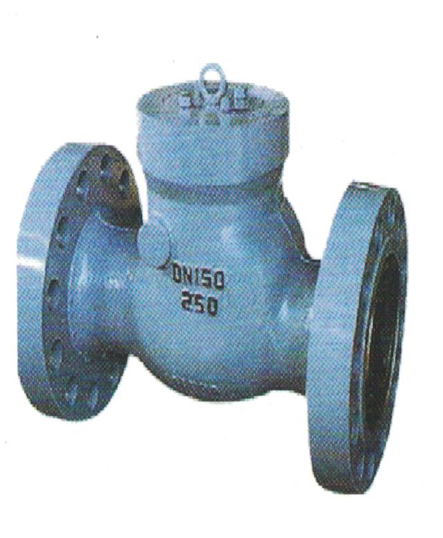 Flange check valve