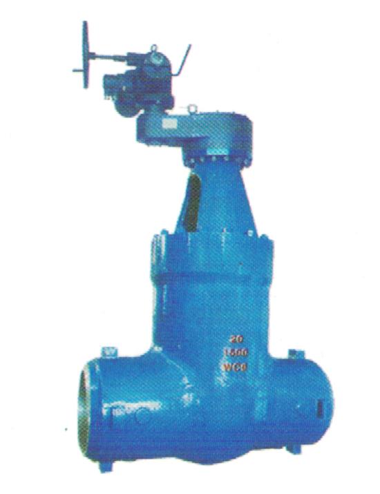 Power station gate valve