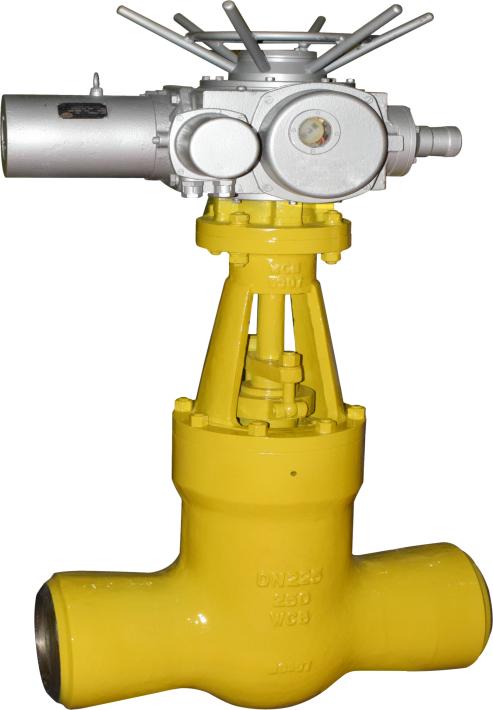 Power station gate valve