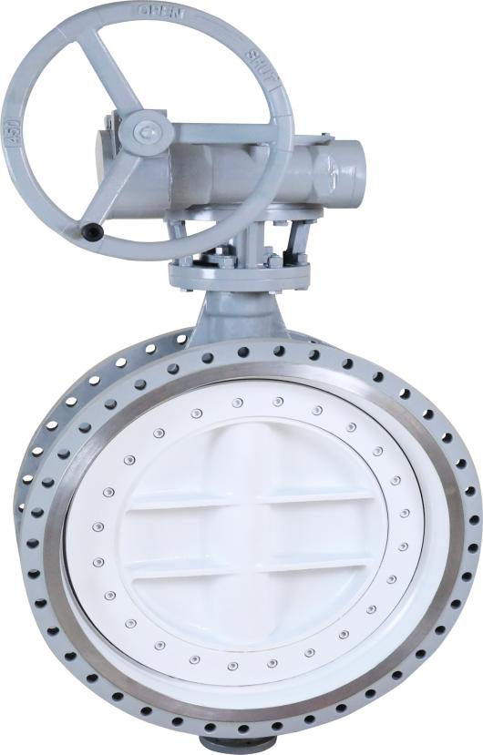 Worm gear flange butterfly valve