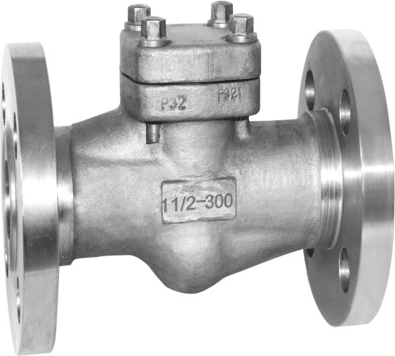 Flange check valve