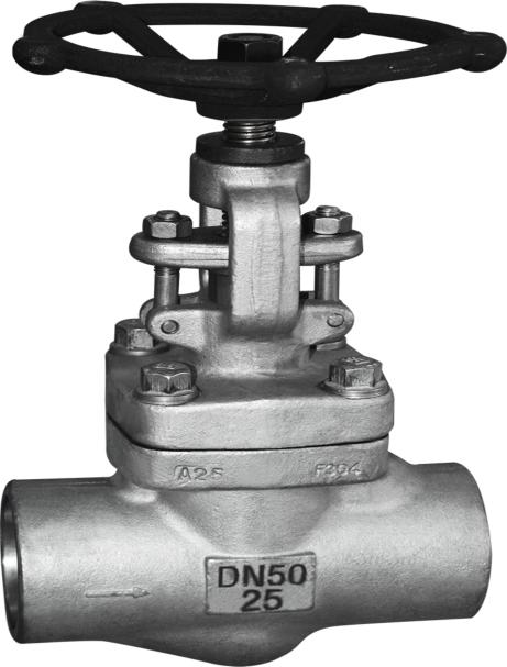 Forged steel 304 welded globe valve