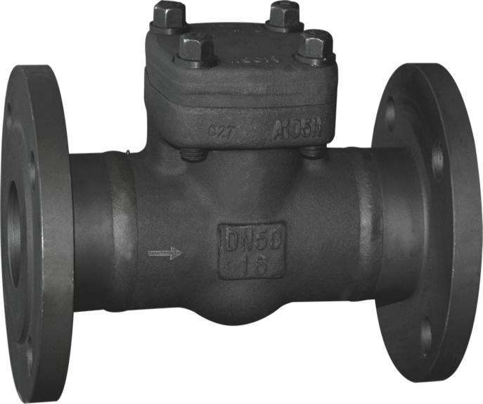 Flange check valve