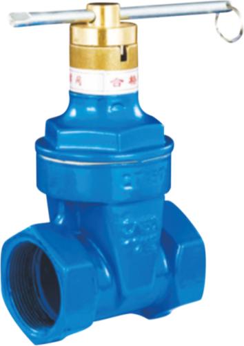 Encrypted soft seal valve