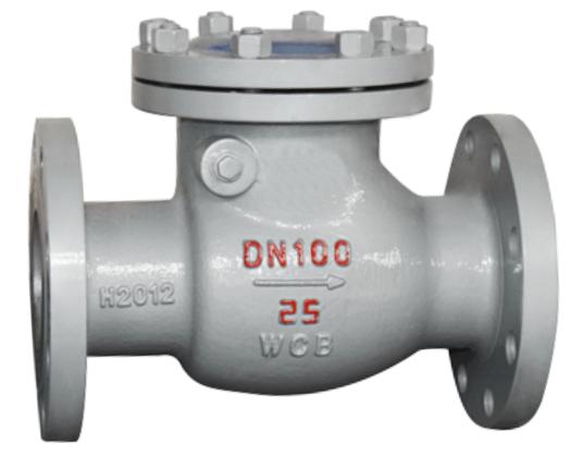 Swing type flange check valve